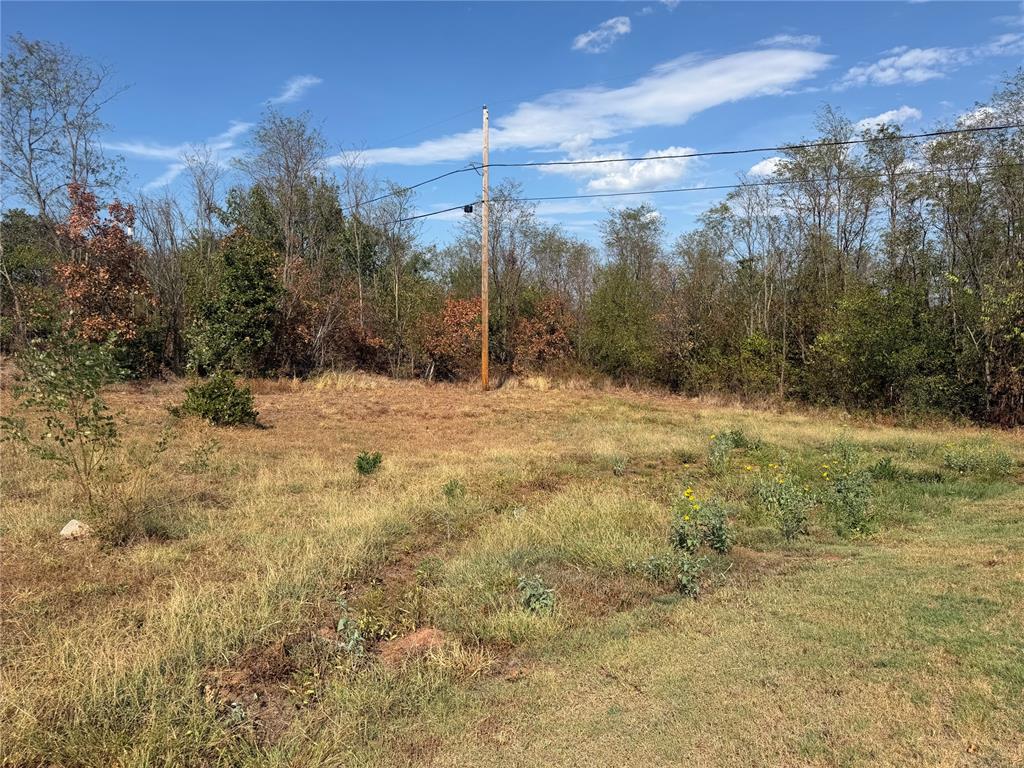 S 1004 S Dogwood St Street Property Photo 2