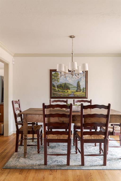 1512 Downing Street Property Photo 24