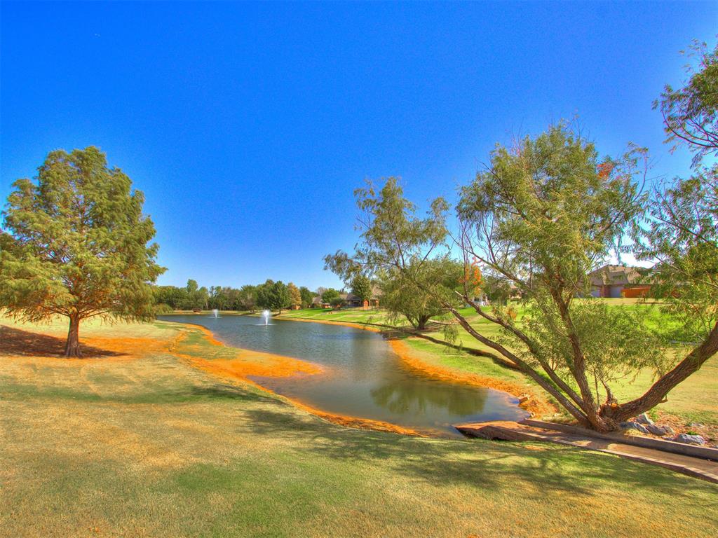 12607 Forest Oaks Drive Property Photo 46