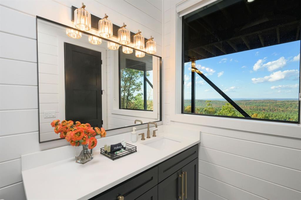 462 Moonshiner Springs Trail Property Photo 40