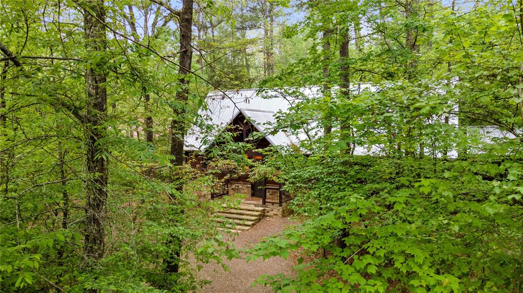 111 Fork Creek Trail Property Photo 9