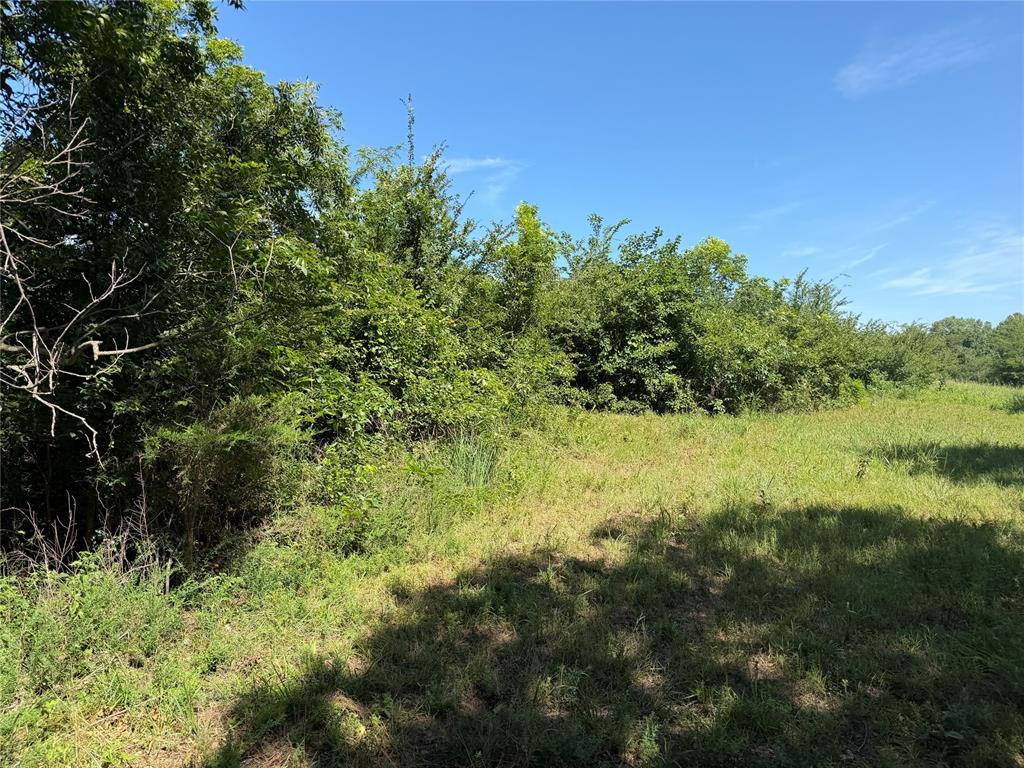 000 Newman Road Property Photo 2