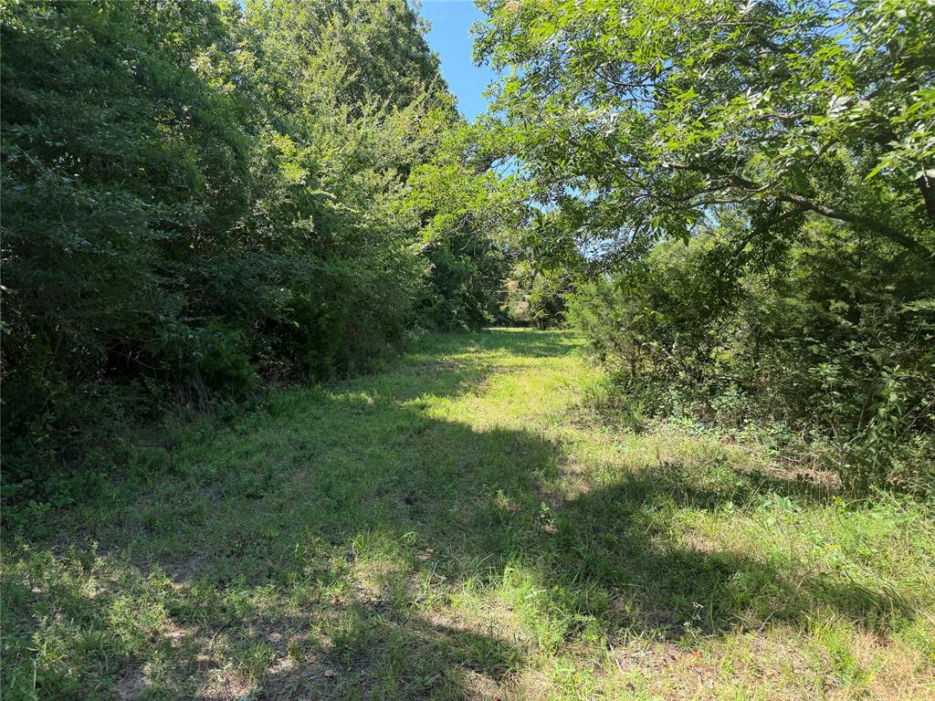 000 Newman Road Property Photo 3
