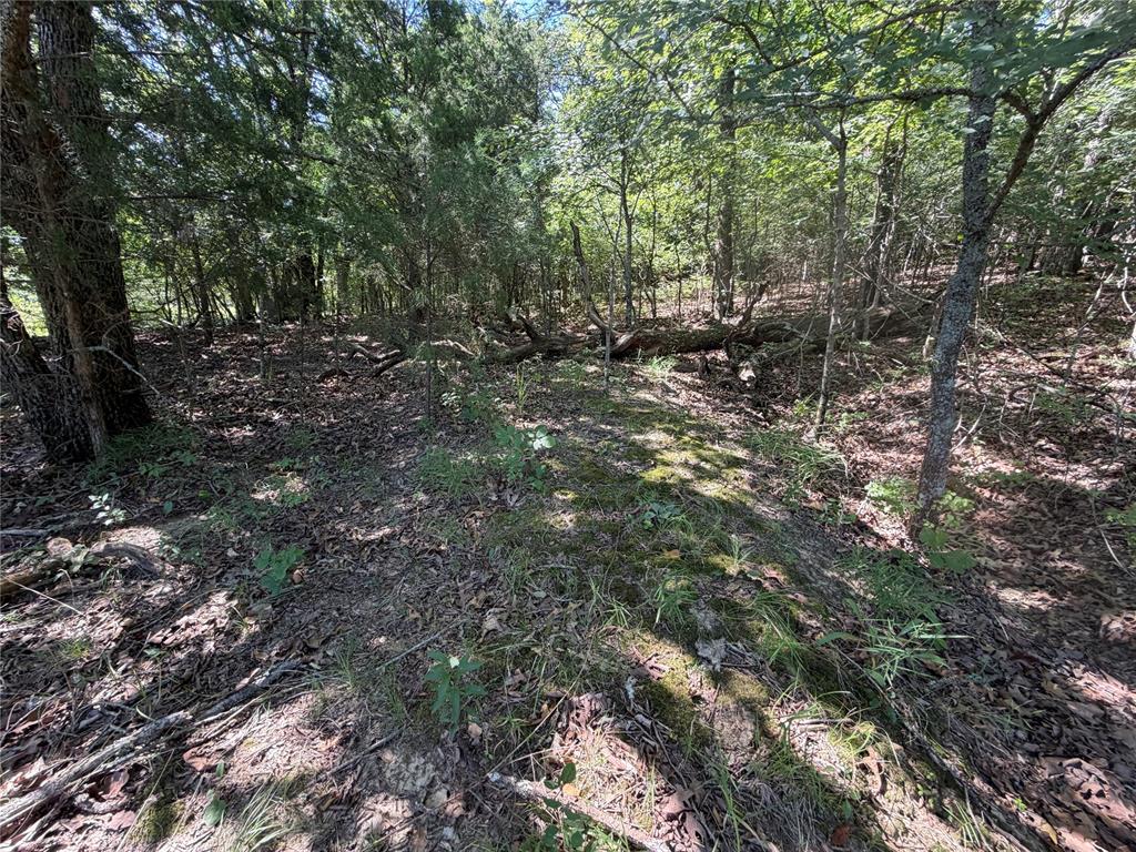 000 Newman Road Property Photo 12