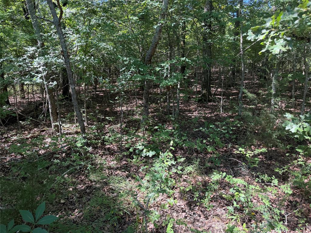 000 Newman Road Property Photo 14