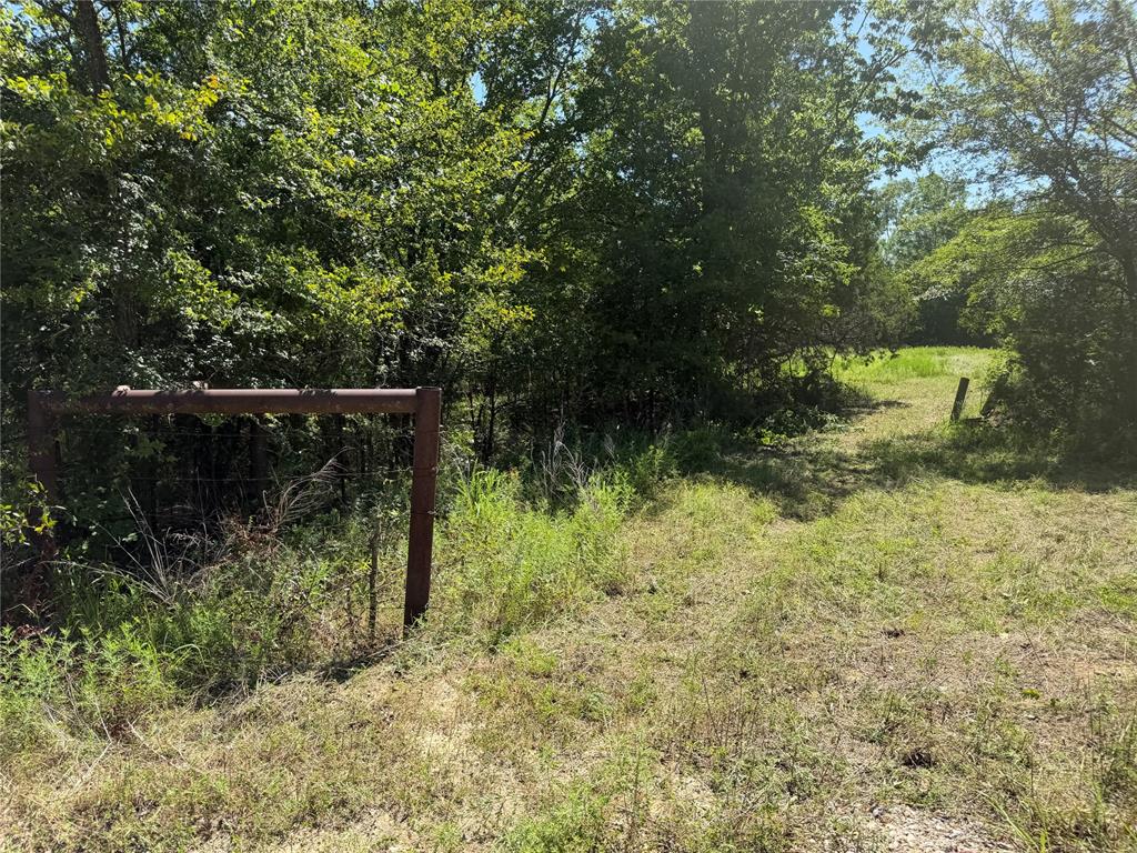 000 Newman Road Property Photo 15