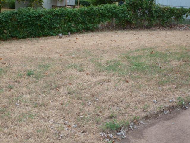2421 Sandra Drive Property Photo 12