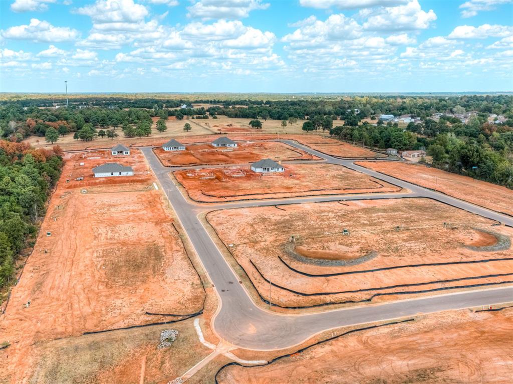 14193 Henney Ridge Street Property Photo 11