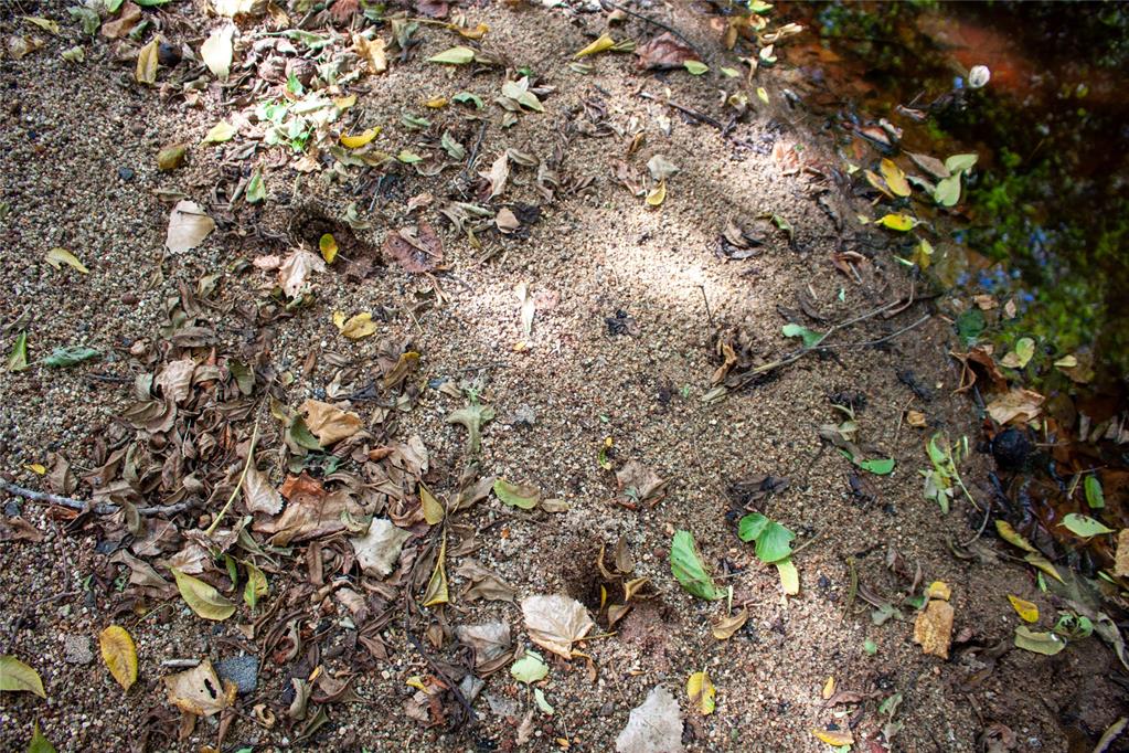 E 1570 Road Property Photo 19