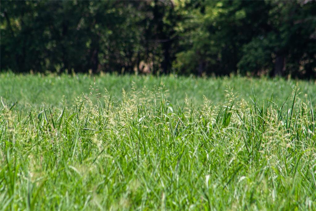 E 1570 Road Property Photo 22