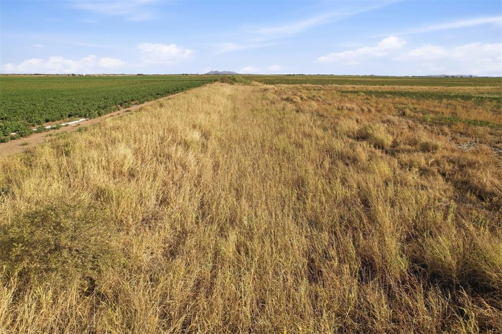 County Road Ew 172 Property Photo 12