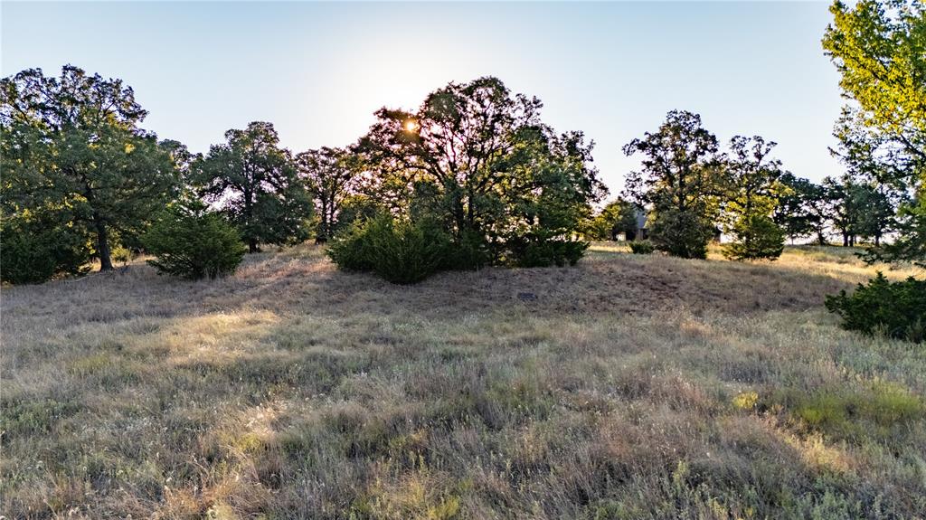 10501 Dobbs Road Property Photo 45