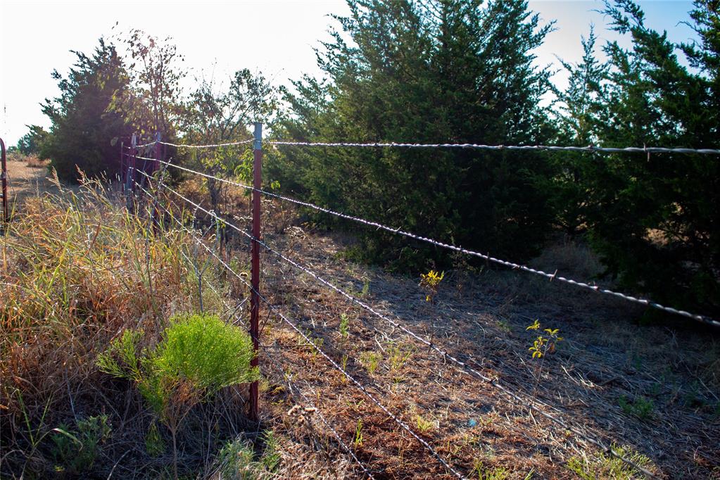 10501 Dobbs Road Property Photo 48