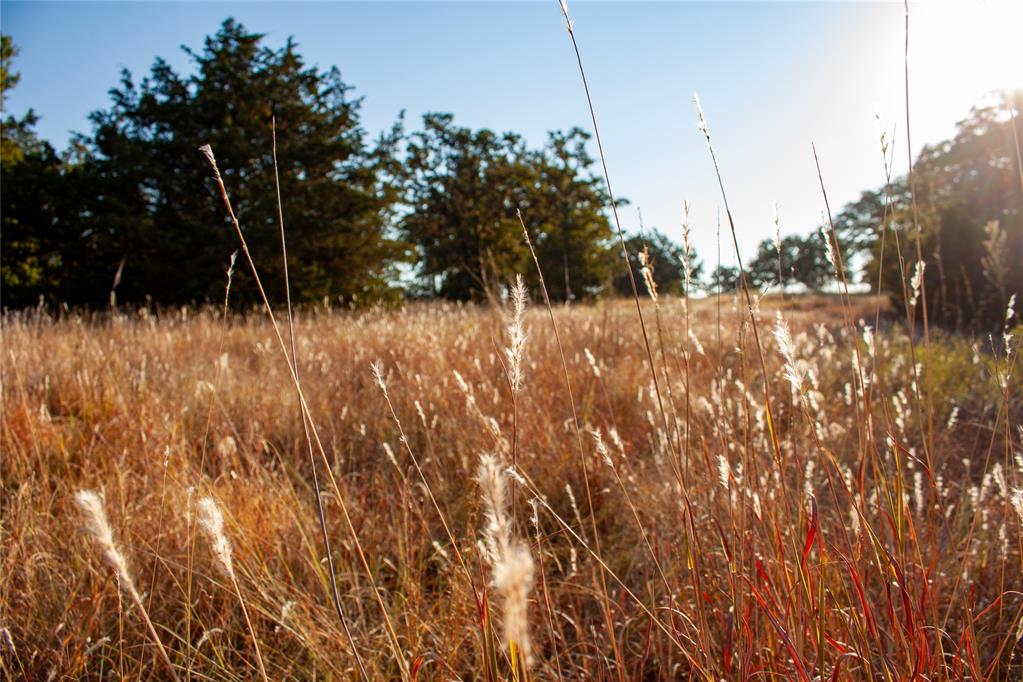 10501 Dobbs Road Property Photo 50