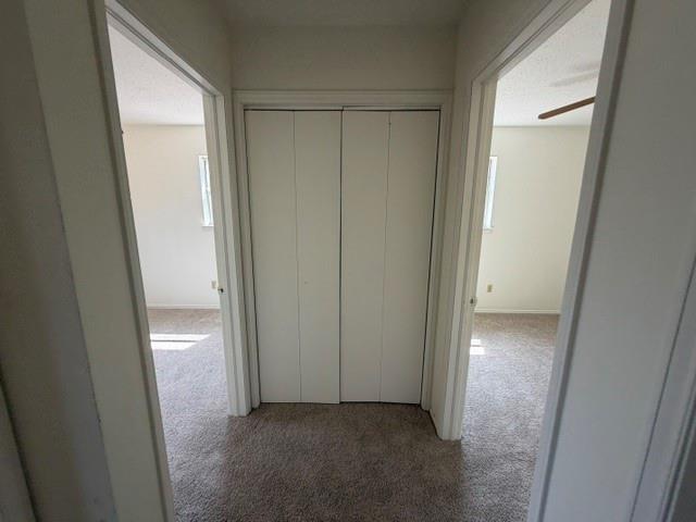 621 Timber Lane Property Photo 17