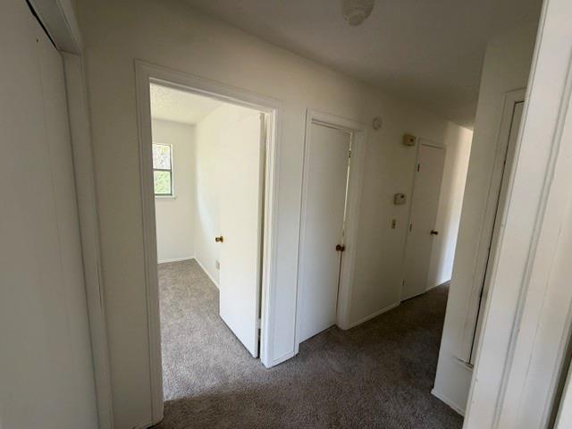 621 Timber Lane Property Photo 21