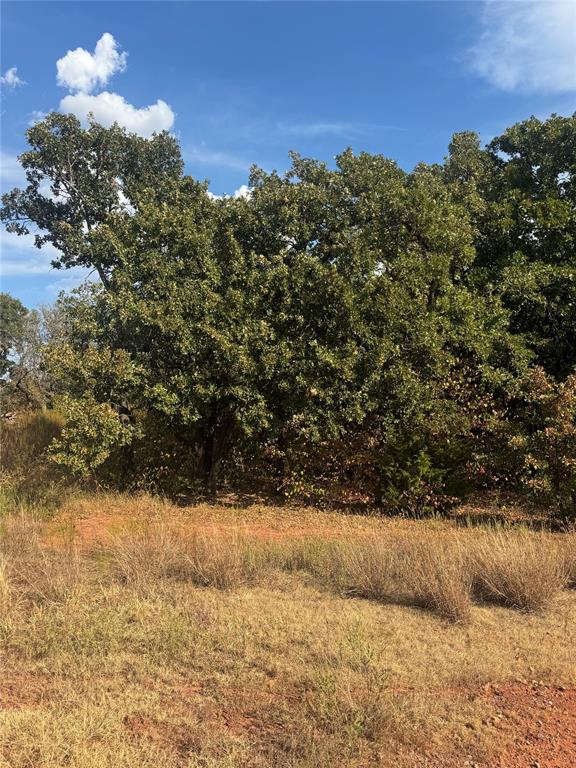 10635 N Luther Road Property Photo 4