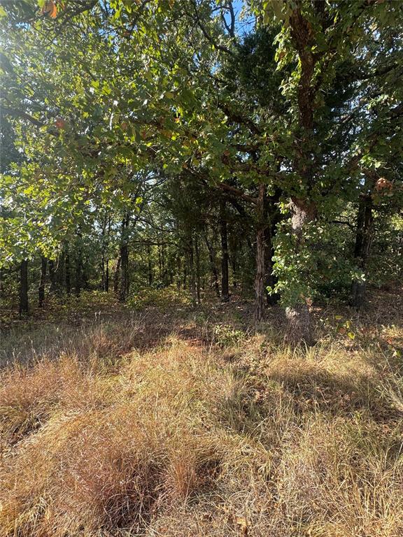 10635 N Luther Road Property Photo 12