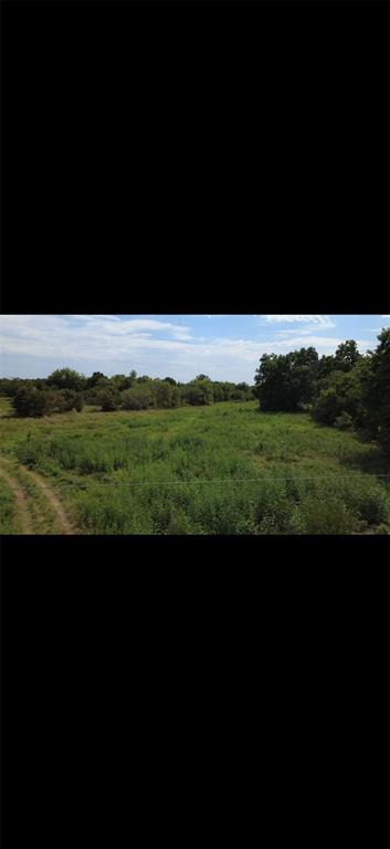 1250545 Property Photo 10
