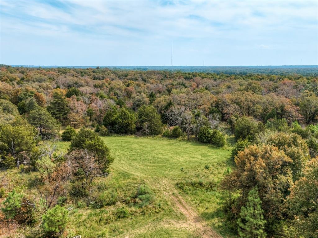 30365 Buck Lane Property Photo 47