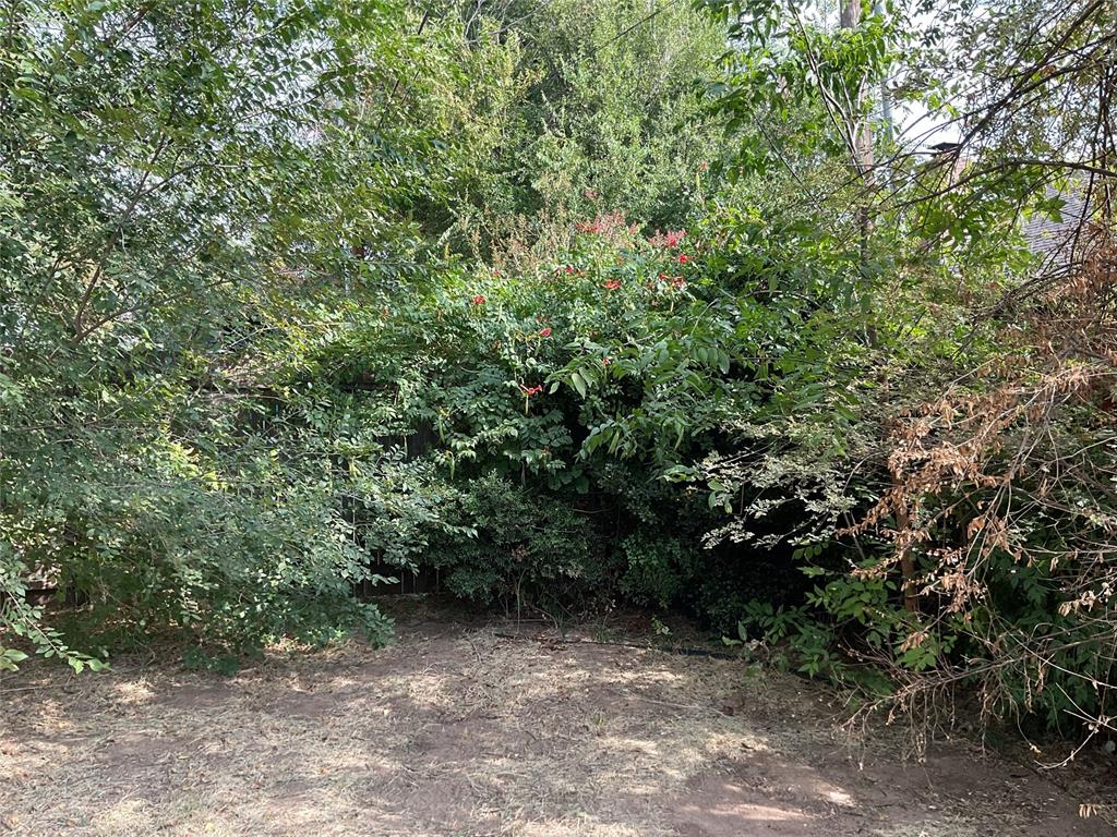 4602 N Central Avenue Property Photo 20