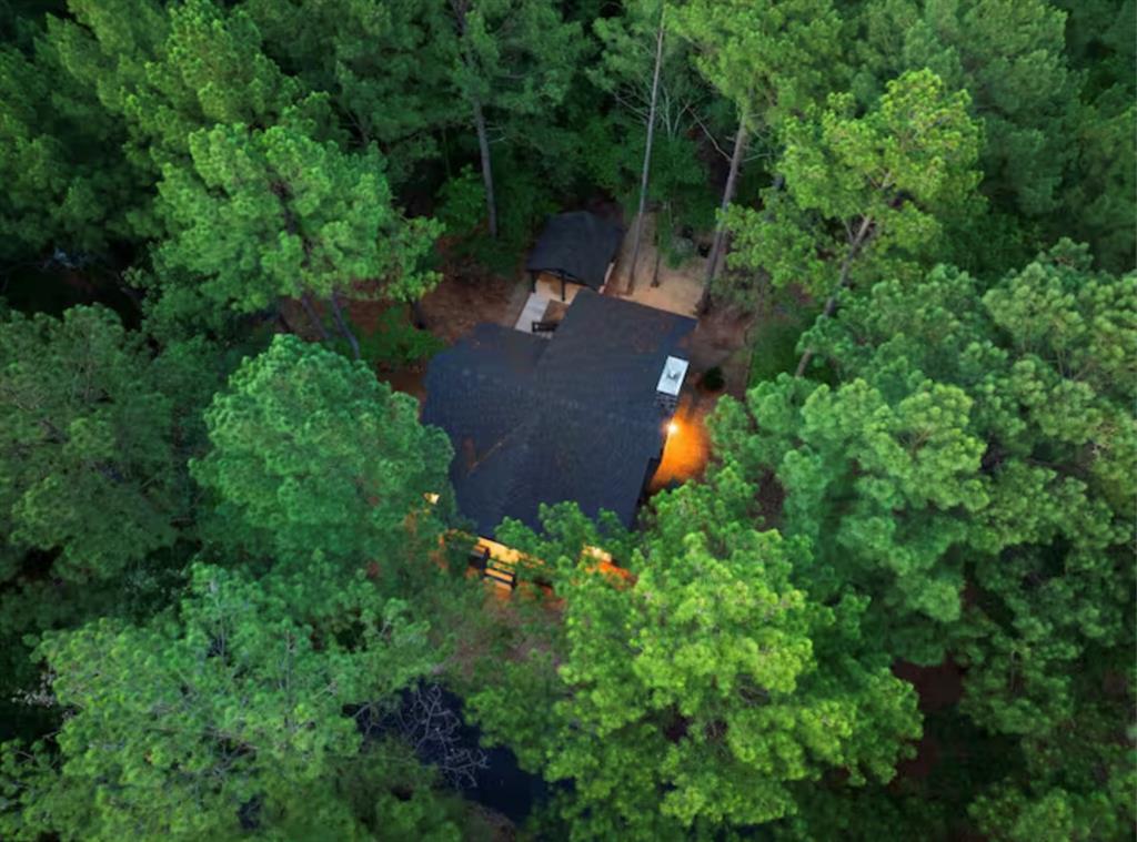 12 Twisted Creek Trail Property Photo 7