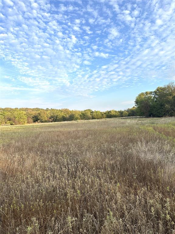 6988 133 Road Property Photo 6