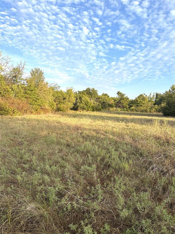 6988 133 Road Property Photo 10