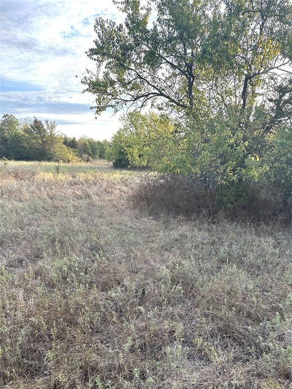 6988 133 Road Property Photo 11