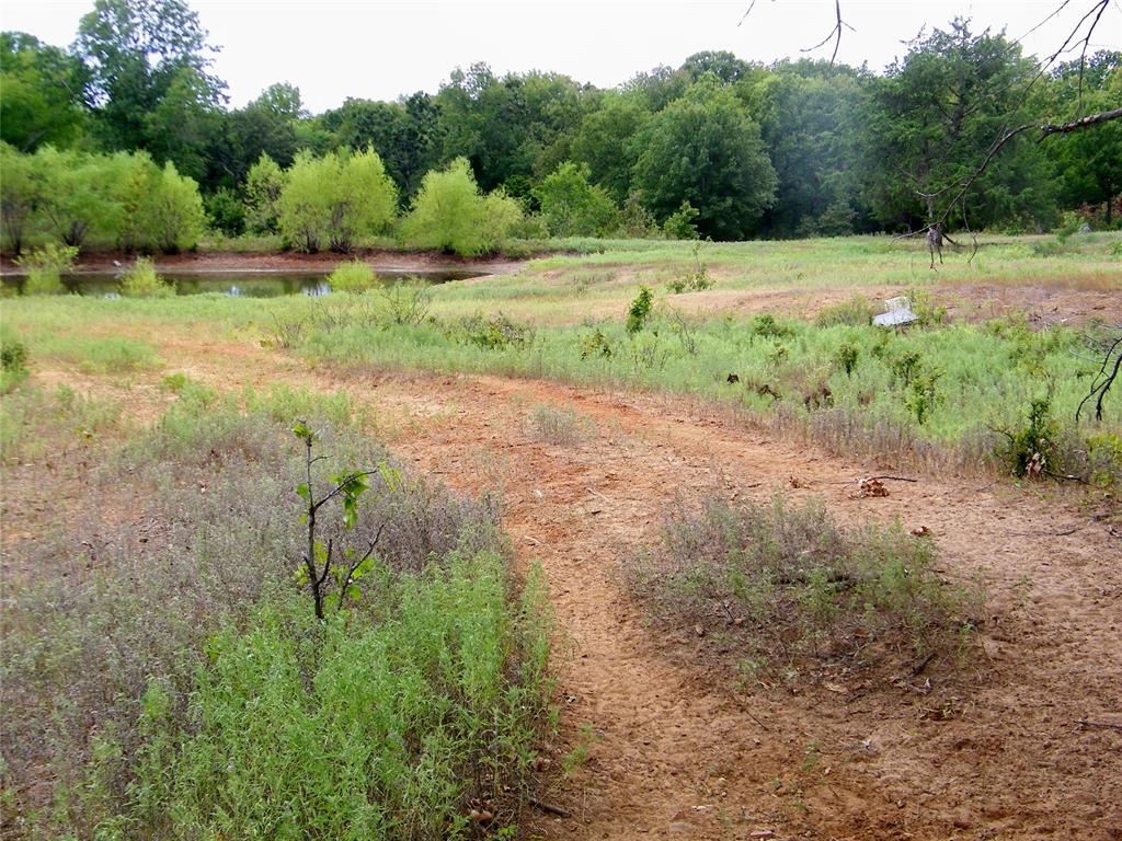 8079 County Road 1460 Property Photo 4