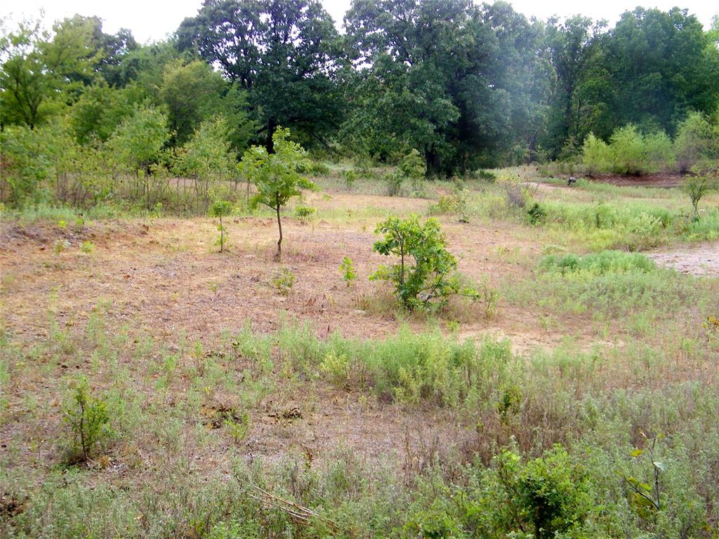 8079 County Road 1460 Property Photo 5