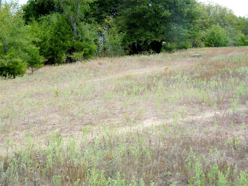 8079 County Road 1460 Property Photo 6