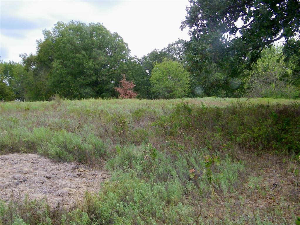8079 County Road 1460 Property Photo 7