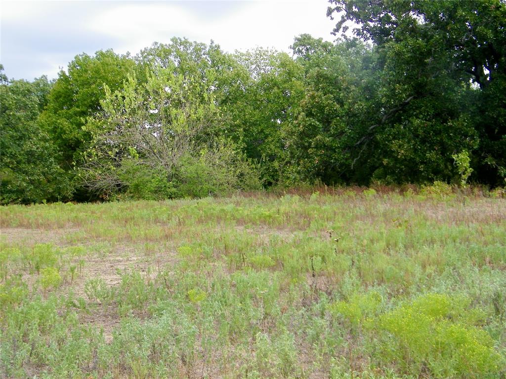 8079 County Road 1460 Property Photo 8