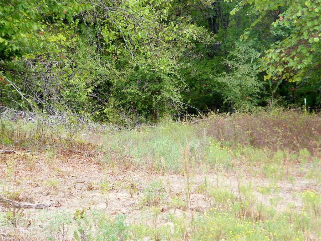 8079 County Road 1460 Property Photo 9
