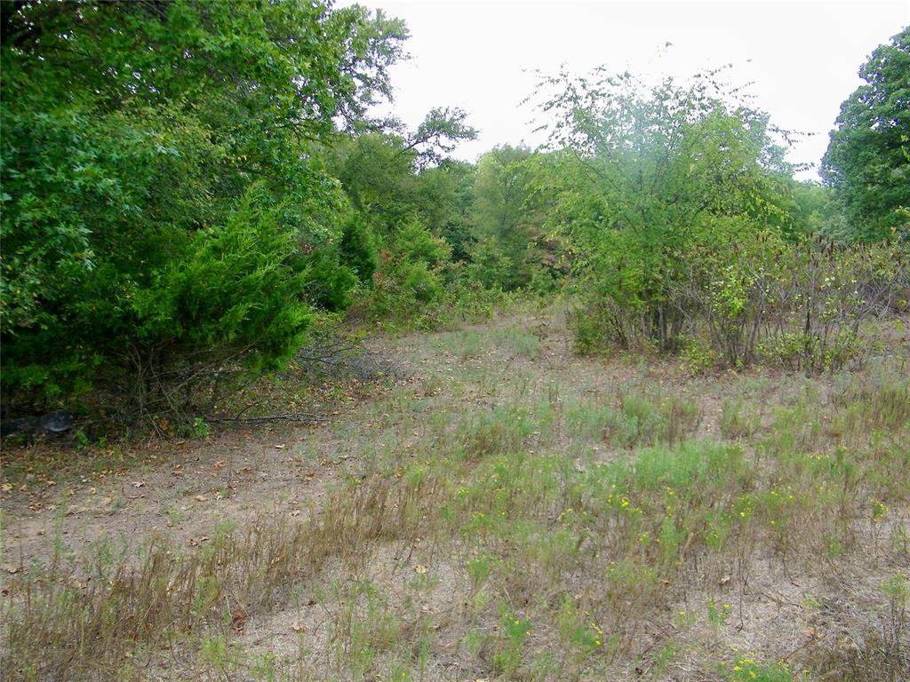 8079 County Road 1460 Property Photo 10
