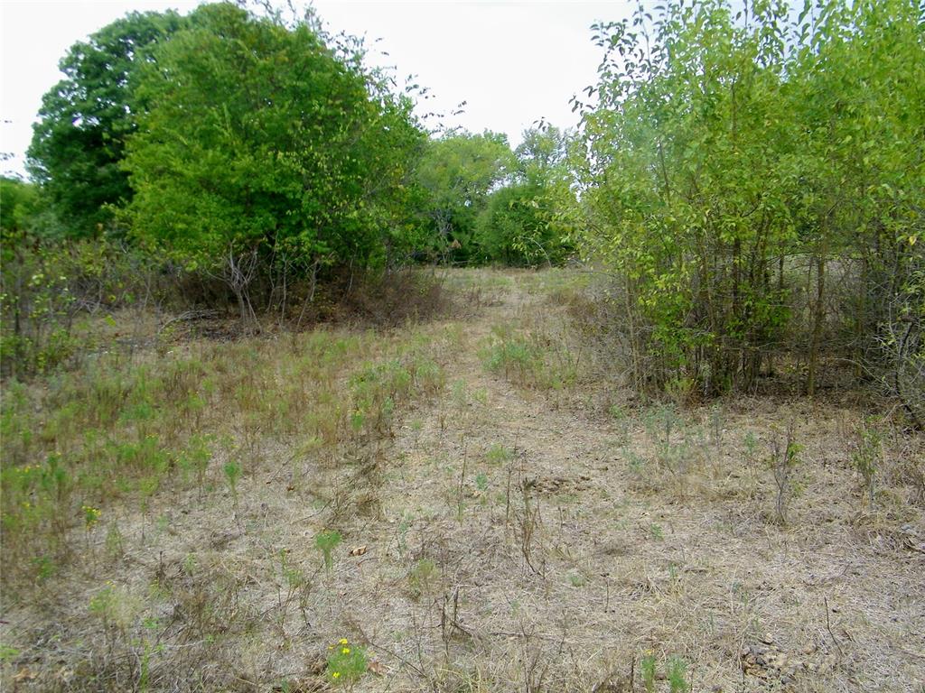 8079 County Road 1460 Property Photo 11