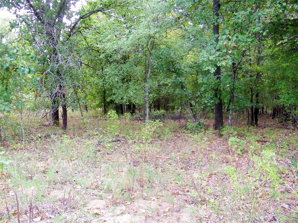 8079 County Road 1460 Property Photo 12
