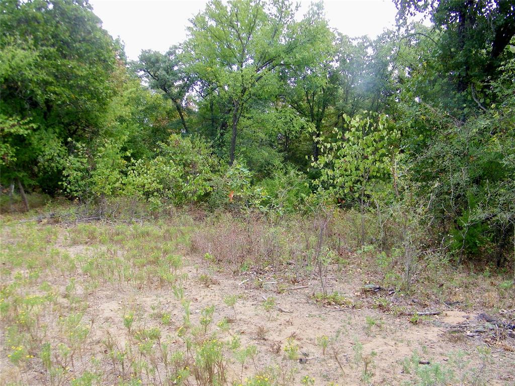 8079 County Road 1460 Property Photo 13
