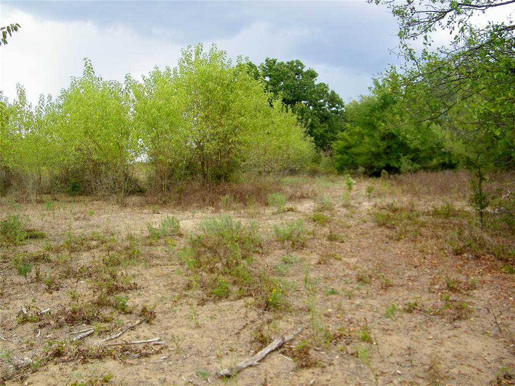 8079 County Road 1460 Property Photo 14