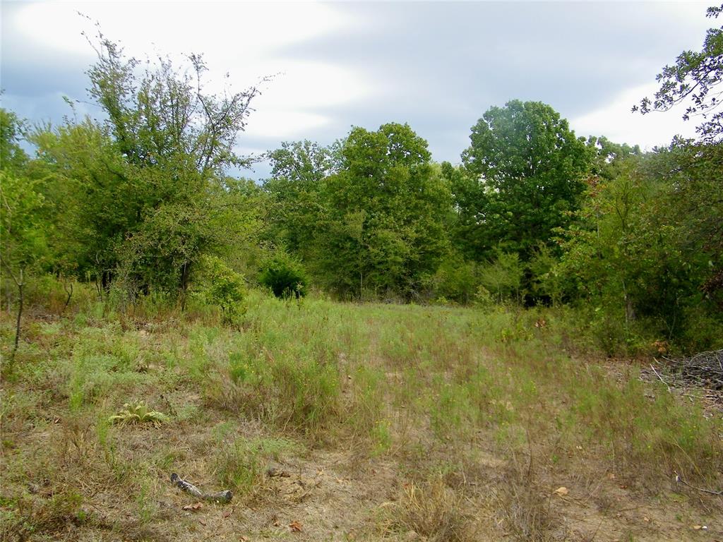 8079 County Road 1460 Property Photo 15