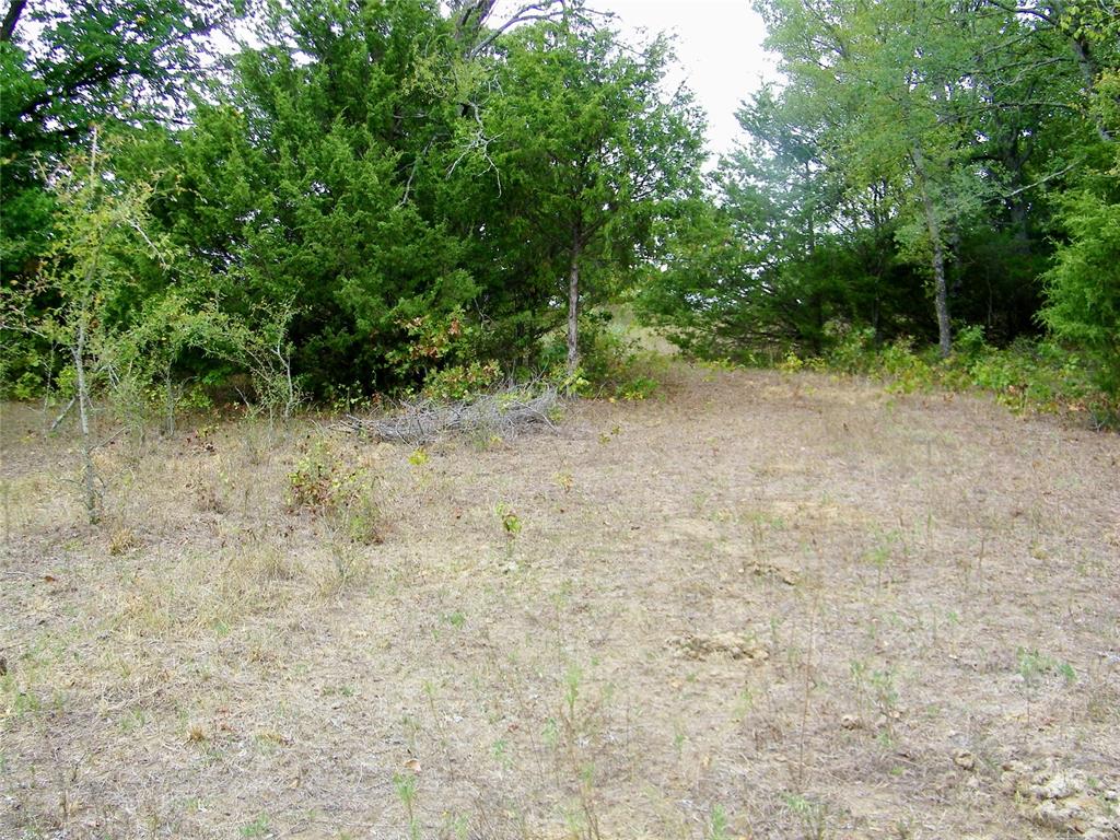 8079 County Road 1460 Property Photo 16