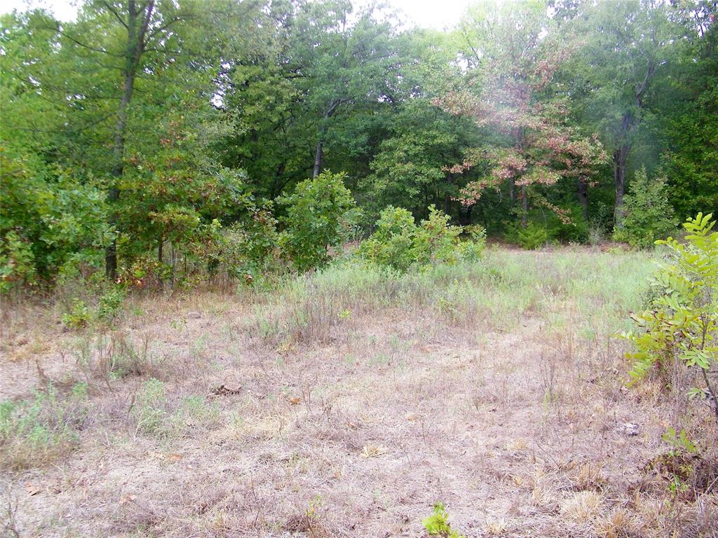 8079 County Road 1460 Property Photo 17