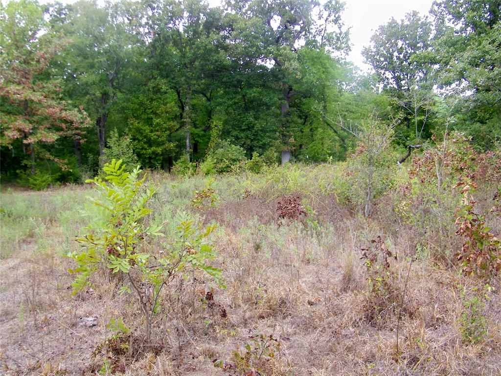 8079 County Road 1460 Property Photo 18