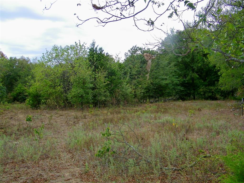 8079 County Road 1460 Property Photo 19