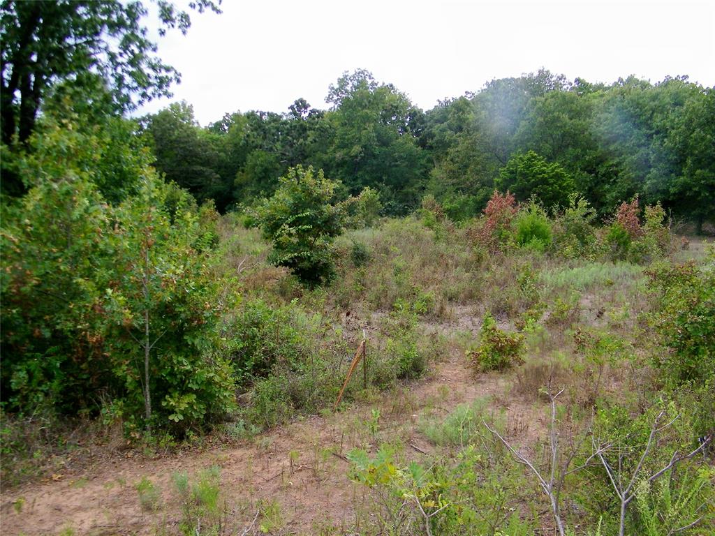 8079 County Road 1460 Property Photo 21