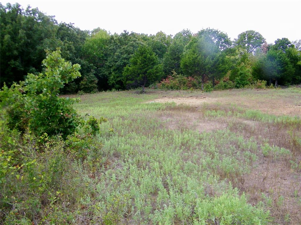 8079 County Road 1460 Property Photo 24