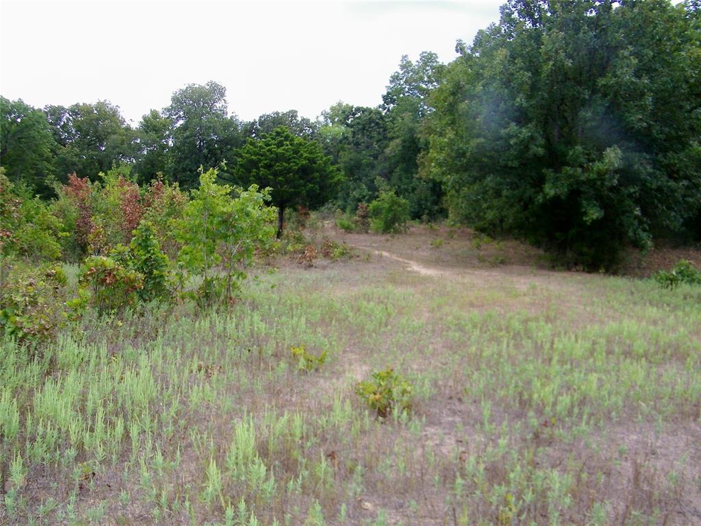 8079 County Road 1460 Property Photo 25
