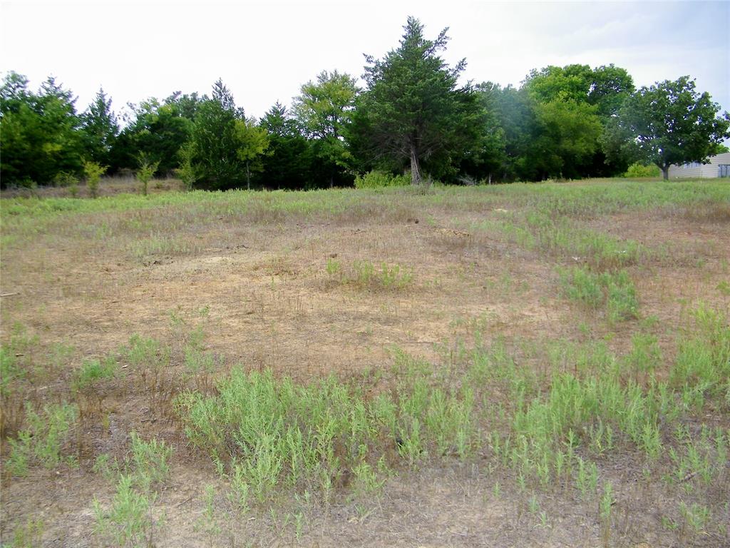 8079 County Road 1460 Property Photo 26