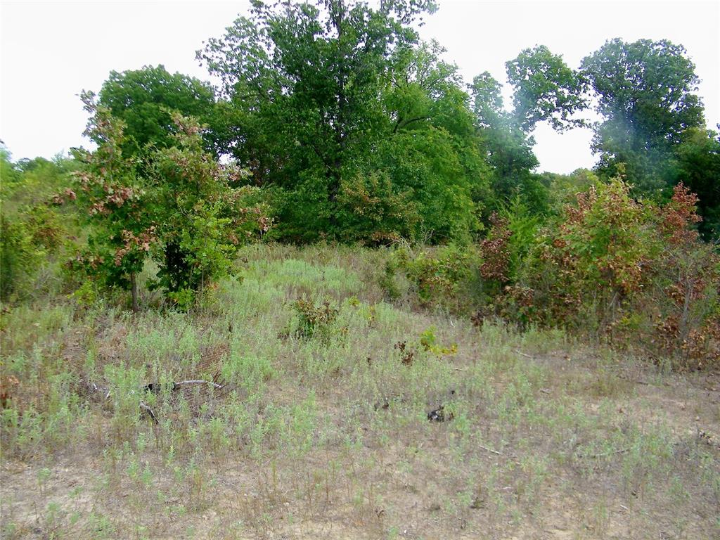 8079 County Road 1460 Property Photo 27